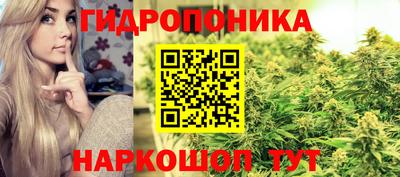 2c-b Заводоуковск