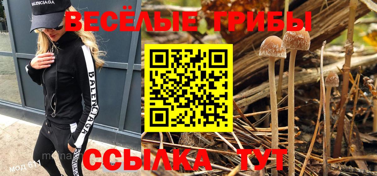 Майский  ГАШ  Вход с VPN  Меф   Конопля  НБОМе 
