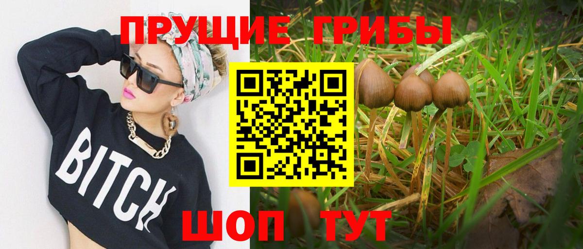 Галлюциногенные грибы GOLDEN TEACHER  как найти   Майский  Вход с VPN  Галлюциногенные грибы мухоморы 